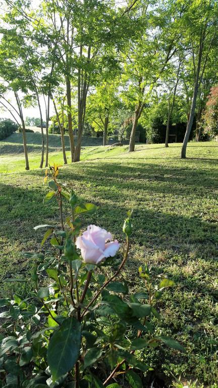 Farm stay Agriturismo Bonzalone Montiano (Tuscany)