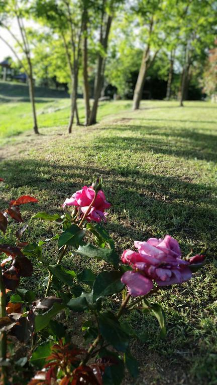 Farm stay Agriturismo Bonzalone