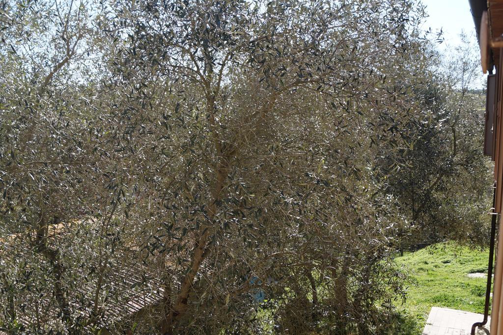 Agriturismo Bonzalone Farm stay *