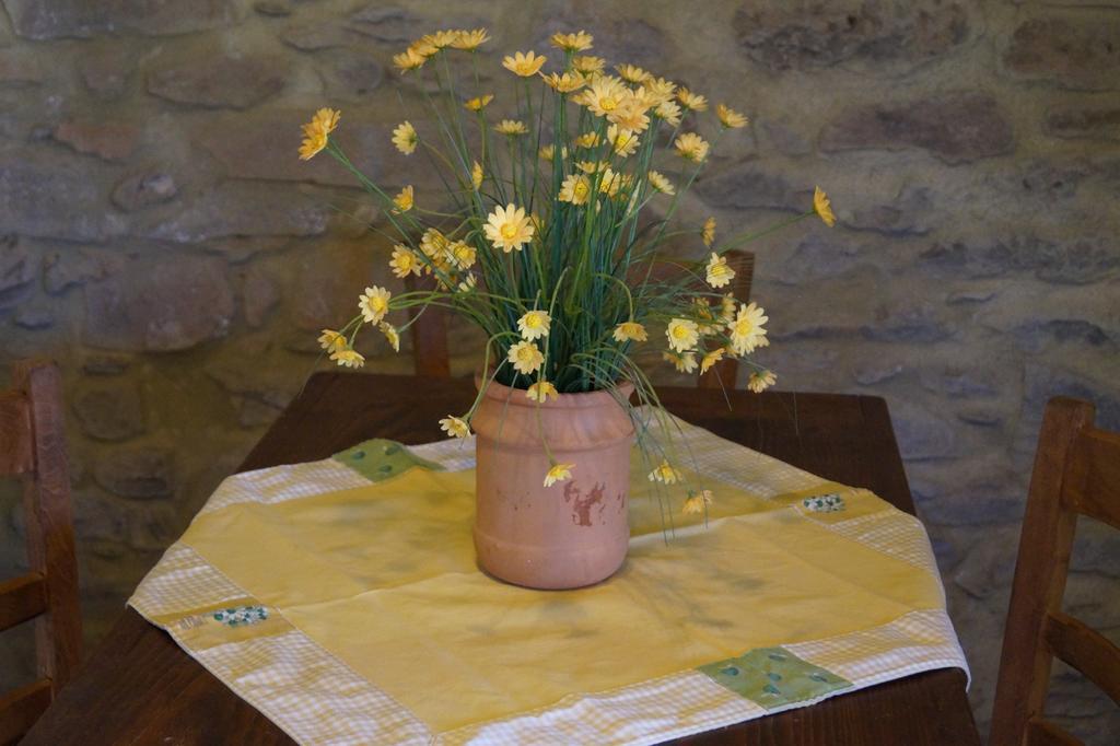 Agriturismo Bonzalone Montiano (Tuscany)