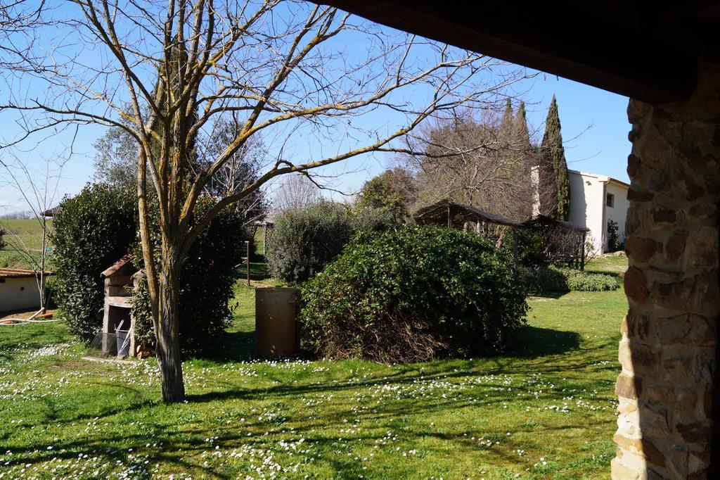 Agriturismo Bonzalone Montiano (Tuscany)