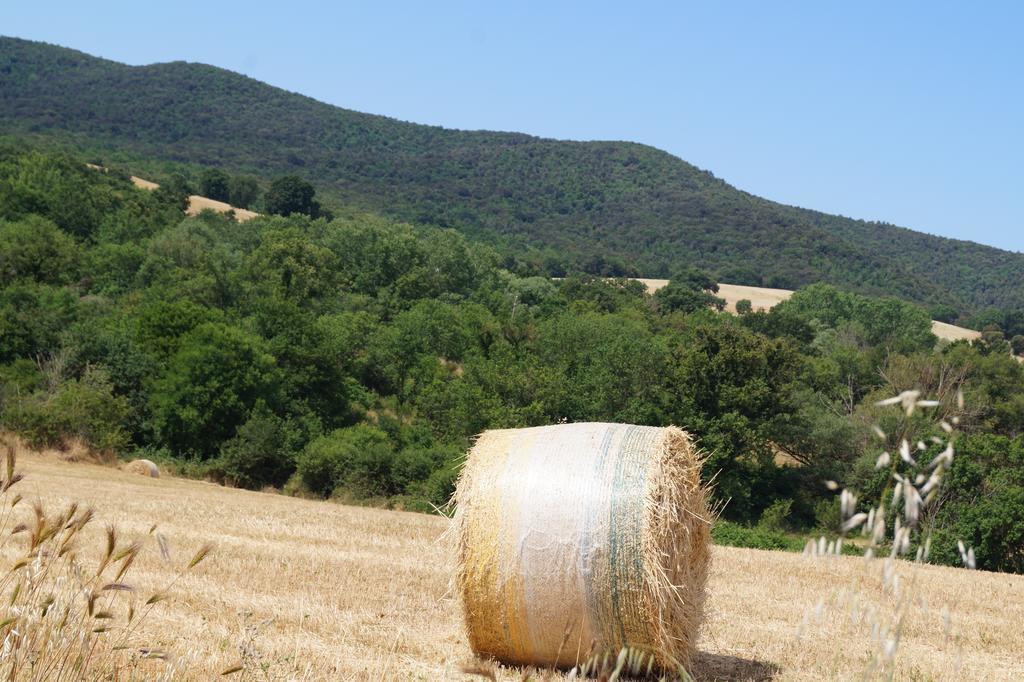Agriturismo Bonzalone * Montiano (Tuscany)