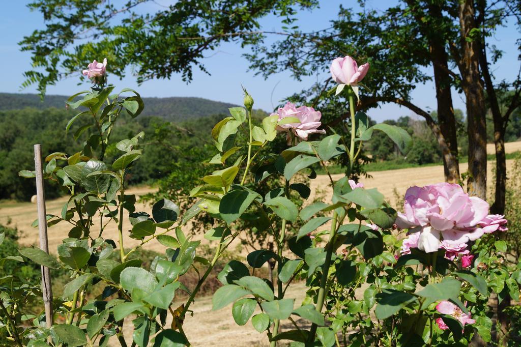 Agriturismo Bonzalone * Montiano (Tuscany)