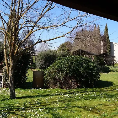 Agriturismo Bonzalone Montiano  Exterior photo