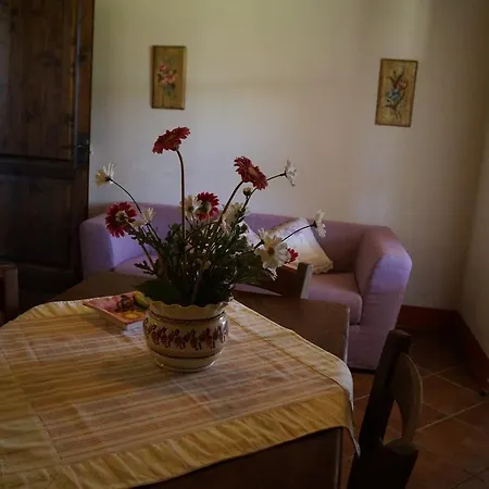Agriturismo Bonzalone Montiano  Exterior photo
