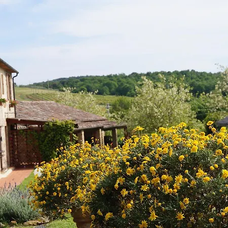 Agriturismo Bonzalone Montiano  Exterior photo