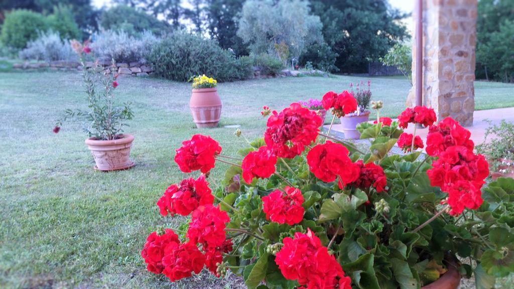 Alloggio per agriturismo Bonzalone *